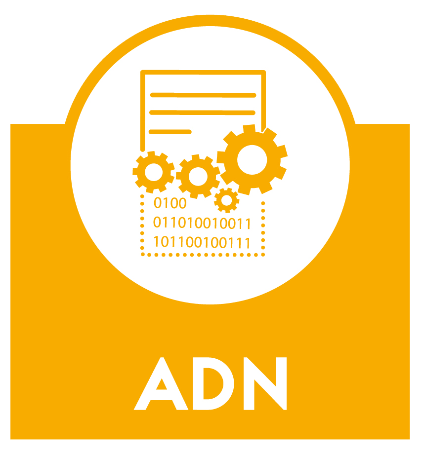 logo_ADN