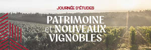 Journée d’étude « Patrimoine et nouveaux vignobles » (MSH – 08/12/25)